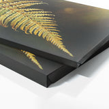 Fern Plant Golden Fern Elegance 4