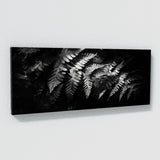 Fern Plant Shadowed 25