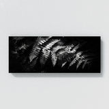 Fern Plant Shadowed 25
