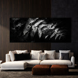 Fern Plant Shadowed 25