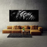 Fern Plant Shadowed 25