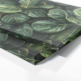 Fiddle Leaf Fig Lush Green Haven 4