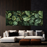 Fiddle Leaf Fig Lush Green Haven 4