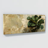 Fiddle Leaf Fig Verdant Grace 1