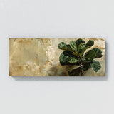Fiddle Leaf Fig Verdant Grace 1