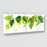 Fiddle Leaf Fig Verdant Splash 8
