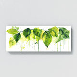 Fiddle Leaf Fig Verdant Splash 8