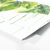 Fiddle Leaf Fig Verdant Splash 8