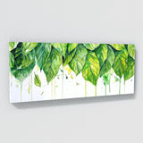 Fiddle Leaf Fig Verdant Splash 9