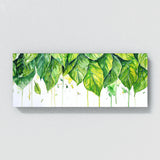 Fiddle Leaf Fig Verdant Splash 9