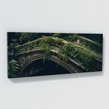 Ivy Timeless Overgrowth 11