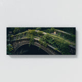 Ivy Timeless Overgrowth 11