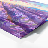 Lavender Dreams 23