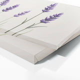 Lavender In Space 35