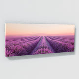 Lavender Minimalism 33