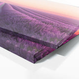 Lavender Minimalism 33