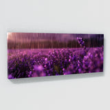 Lavender Moody Rain 29