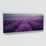 Lavender Moody Rain 30
