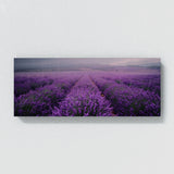 Lavender Moody Rain 30