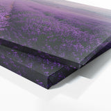 Lavender Moody Rain 30
