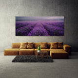 Lavender Moody Rain 30