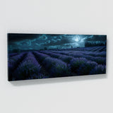 Lavender Moonlit Fields 31