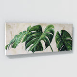 Monstera Antique Charm 2