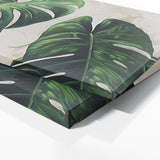 Monstera Antique Charm 2