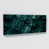 Monstera Enigmatic Scene 16