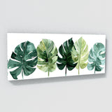 Monstera Green Symphony 11