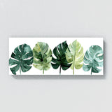 Monstera Green Symphony 11