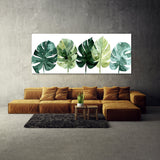 Monstera Green Symphony 11