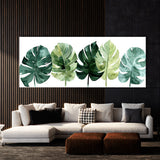 Monstera Green Symphony 11