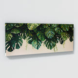 Monstera Jungle Cascade 5