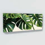 Monstera Minimalism 22