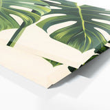 Monstera Minimalism 22