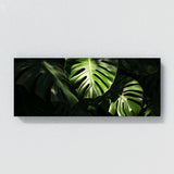 Monstera Noir 14