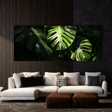 Monstera Noir 14