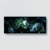 Monstera Noir Night 17
