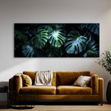 Monstera Noir Night 17