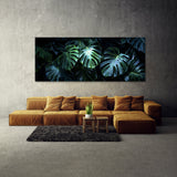Monstera Noir Night 17