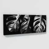 Monstera Shadows 15