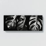 Monstera Shadows 15