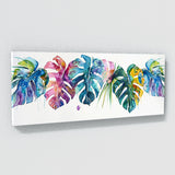 Monstera Whimsy 12