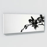 Orchids Elegance 29