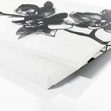 Orchids Elegance 29