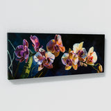Orchids Midnight 1