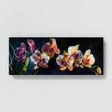Orchids Midnight 1