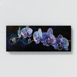 Orchids Midnight 2