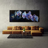 Orchids Midnight 2